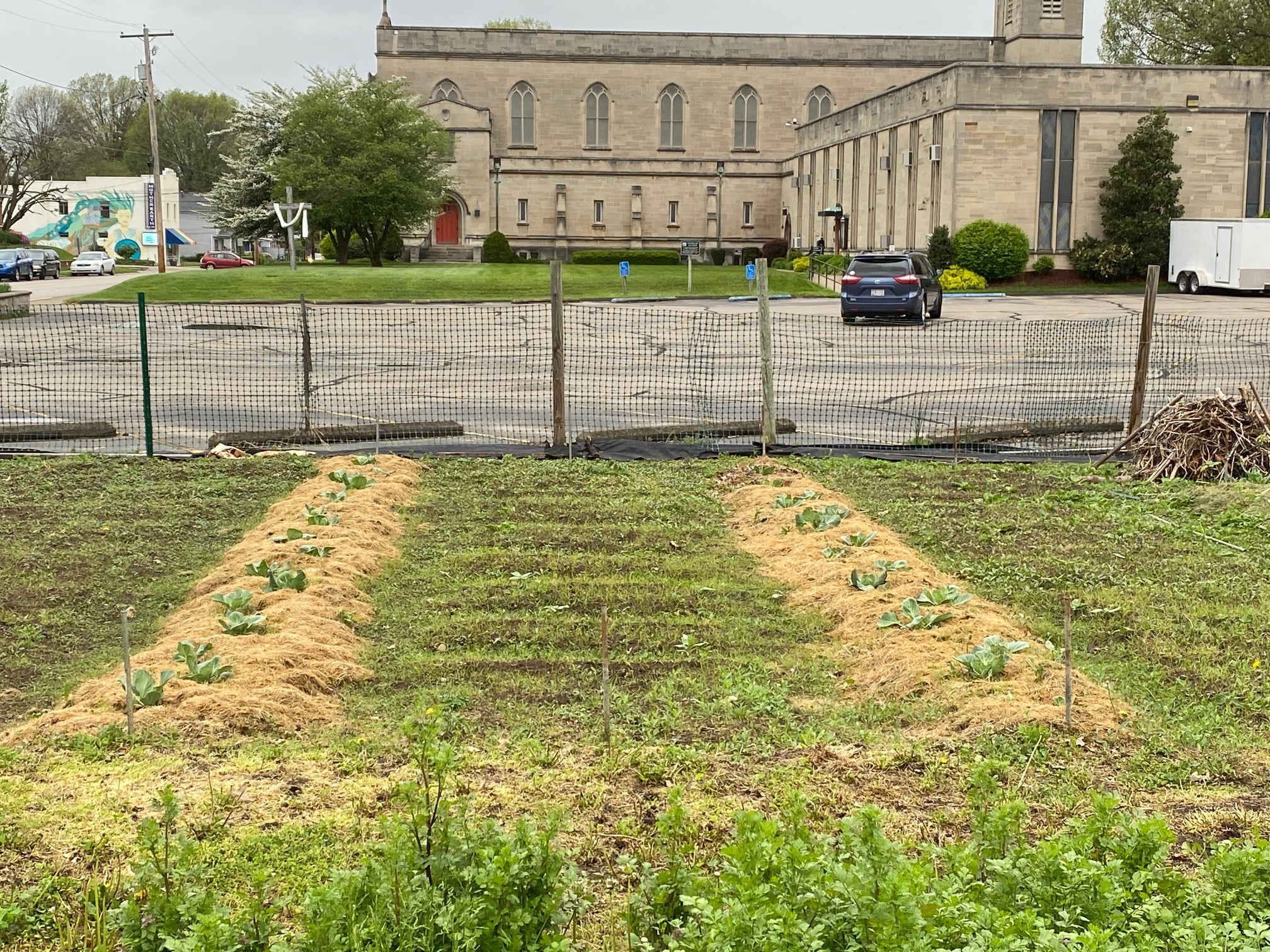 images/stories/HeaderImages/Frame2/garden.jpg